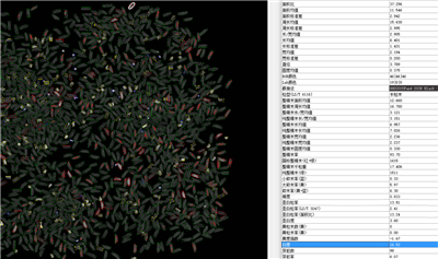 籽粒外觀品質(zhì)分類識別系統(tǒng)