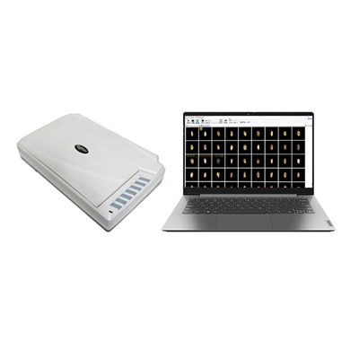 小麥不完善率檢測儀