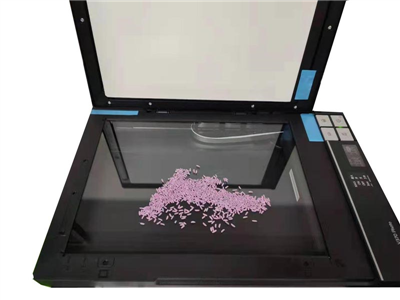 LTJM-3 精米機(jī)