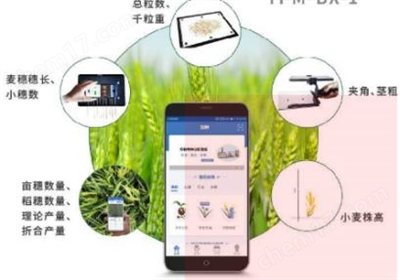 小麥表型檢測(cè)系統(tǒng)