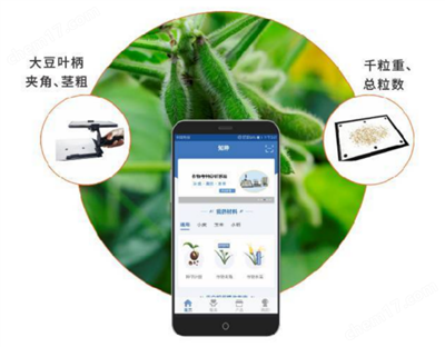 大豆表型檢測(cè)系統(tǒng)