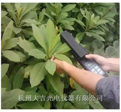 YMJ系列活體葉面積測量儀